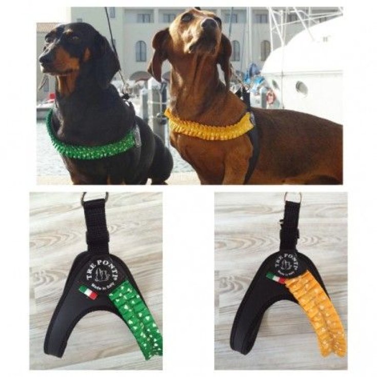 PETTORINA FASHION PLISSE PLAS MIS 2 VER