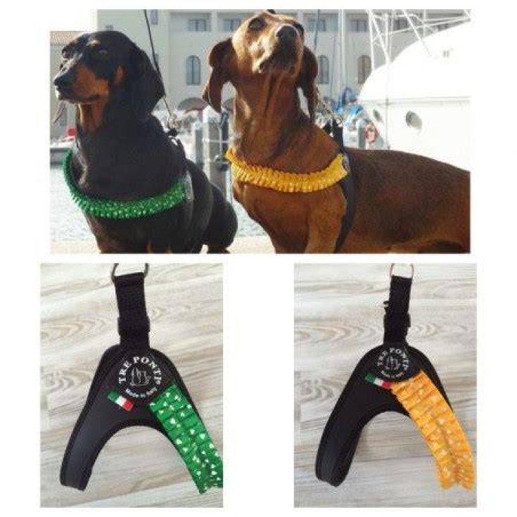PETTORINA FASHION PLISSE PLAS MIS 1.5 VE