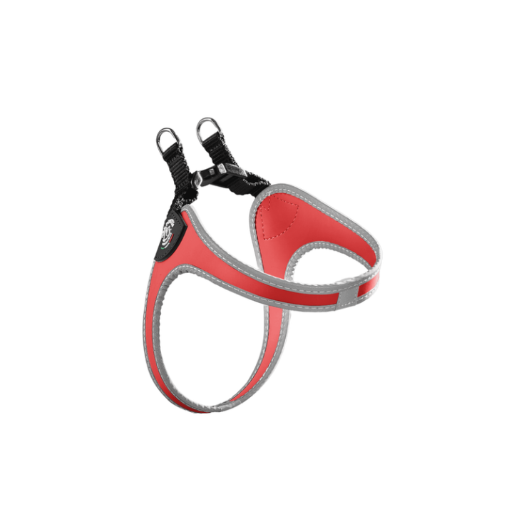 TP EF SILVER CLK RO 2