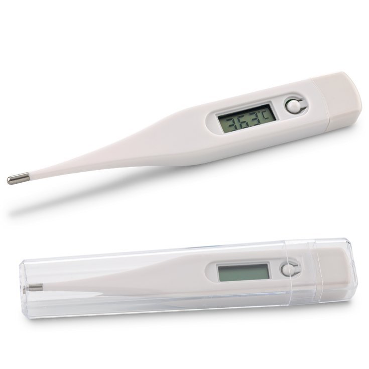 Termometro Digitale Punta Rigida