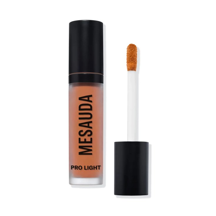 PRO LIGHT CONCEALER P01 MESAUDA 4ml