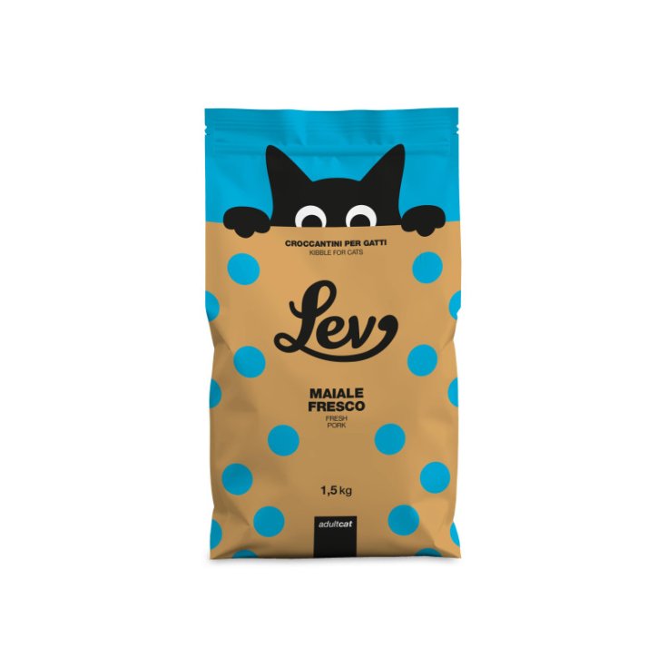 LEV ADULT MAIALE 1,5KG