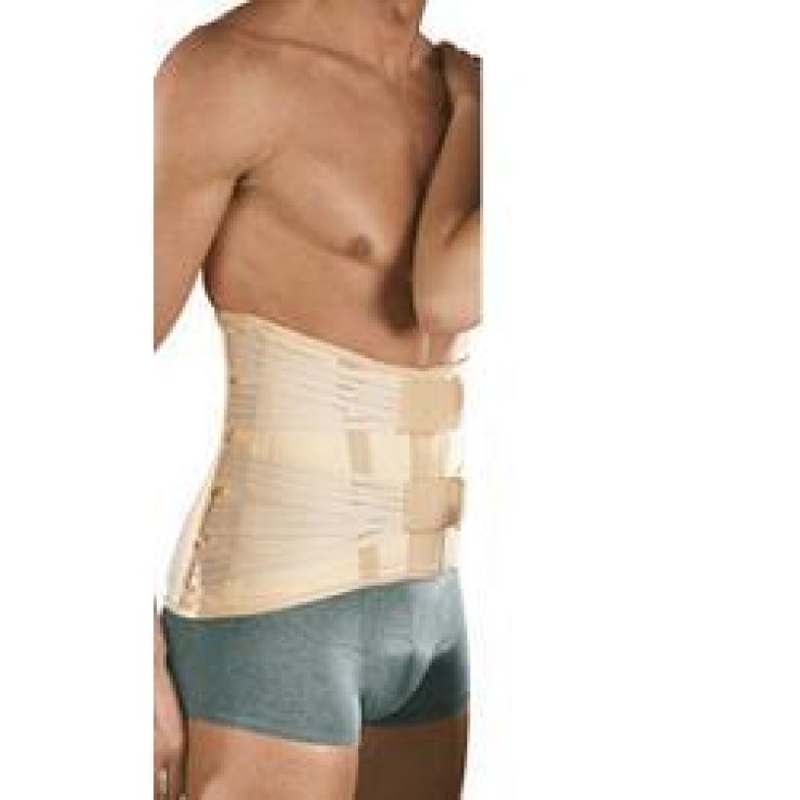 Ro + Ten Sat Lumbosacral Male Xl