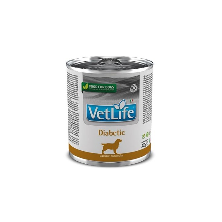 TP WET DOG WEIGHT DIABETIC 300G