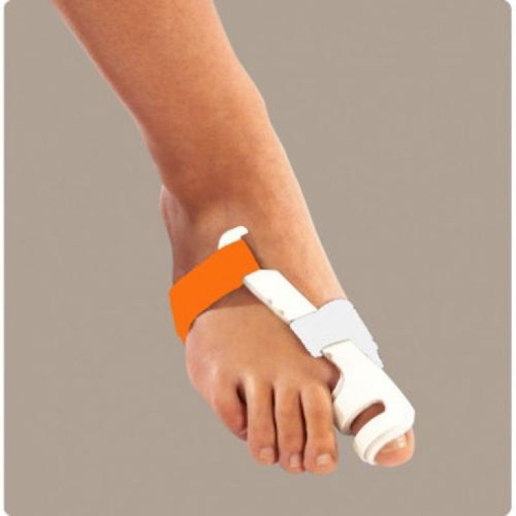 RATHGEBER DIVAR AV1 DX 34/36