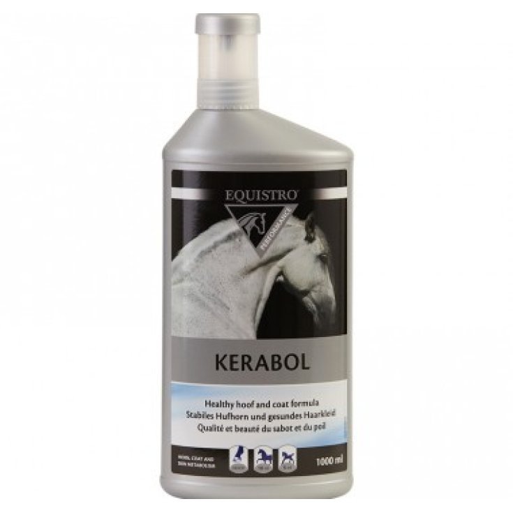FORMALDEHYDE RP 40% 1000ML