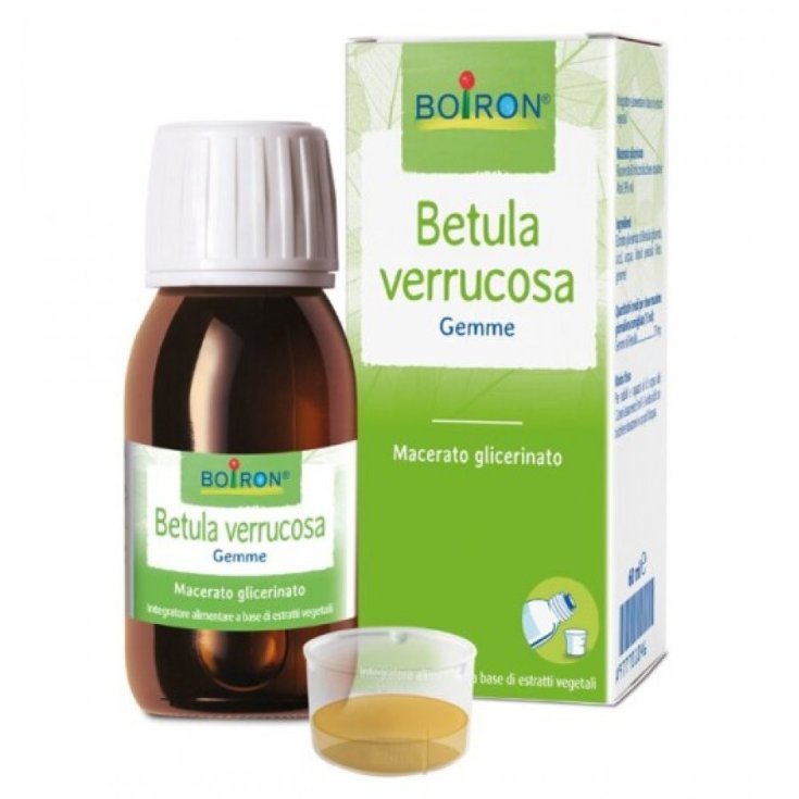 Sarandrea Marco Birch Verrucosa Gems Homeopathic Remedy 100ml Mg