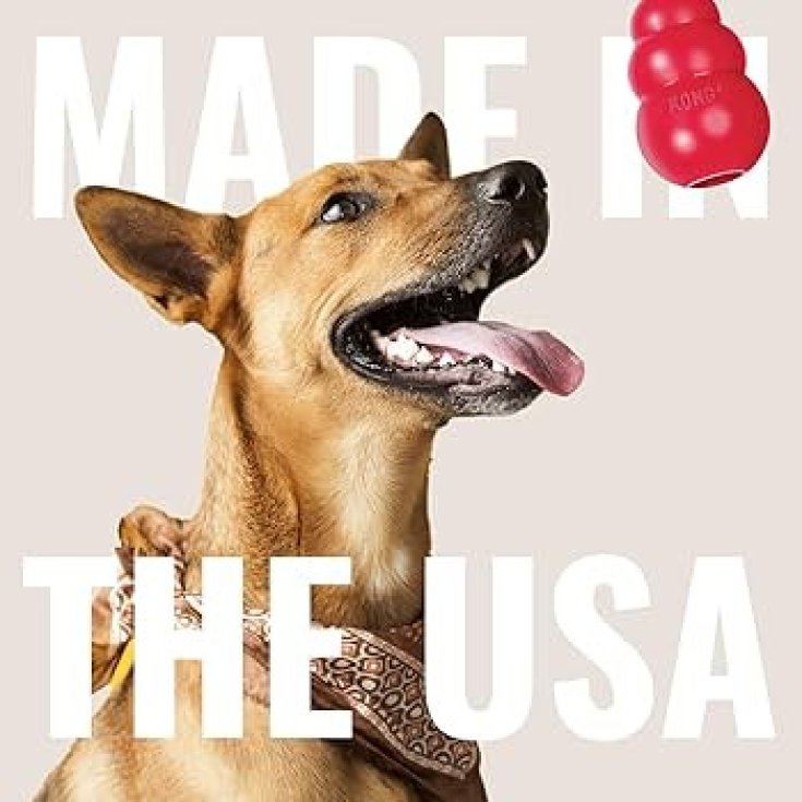 KONG Kong Tug Giocattolo per Cani