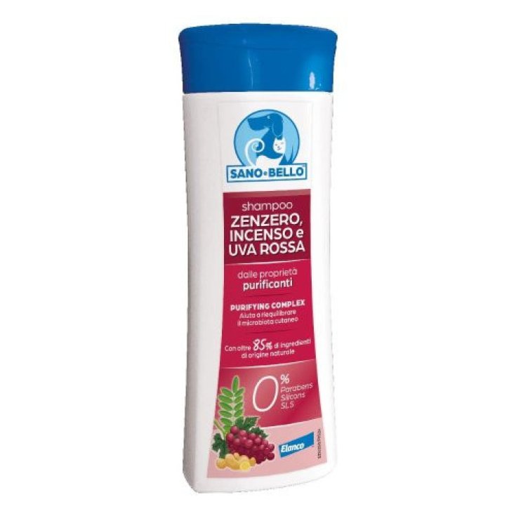 SANO E BELLO SHAMPOO ZENZ&INC