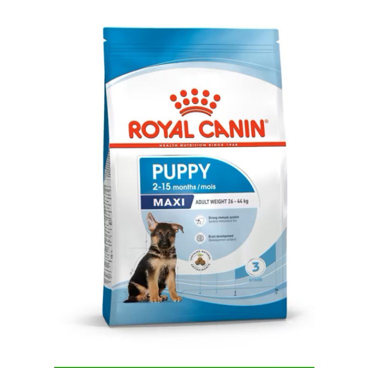SHN DOG MAXI PUPPY 3KG