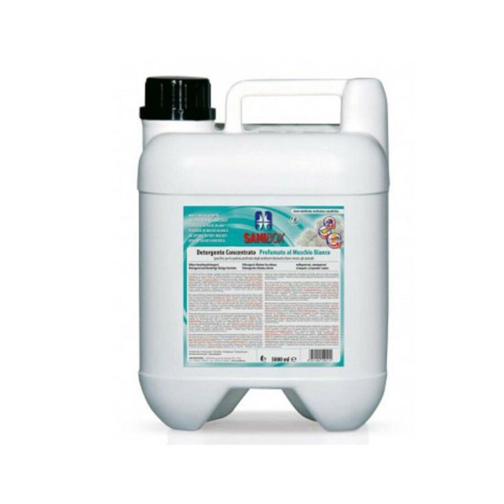 SANIBOX MUSCHIO BIANCO DET 5L