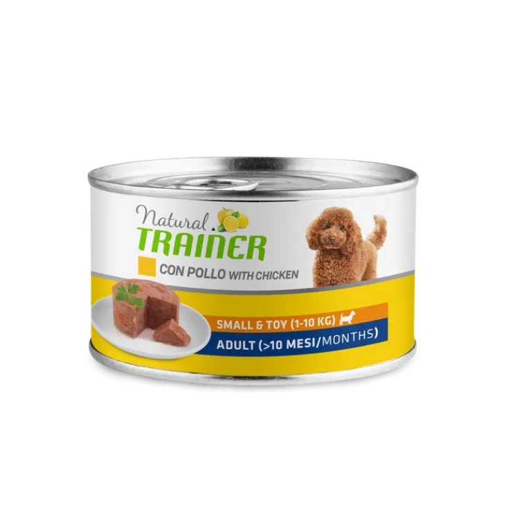 TRAINER NAT D AD S&T P+R150G
