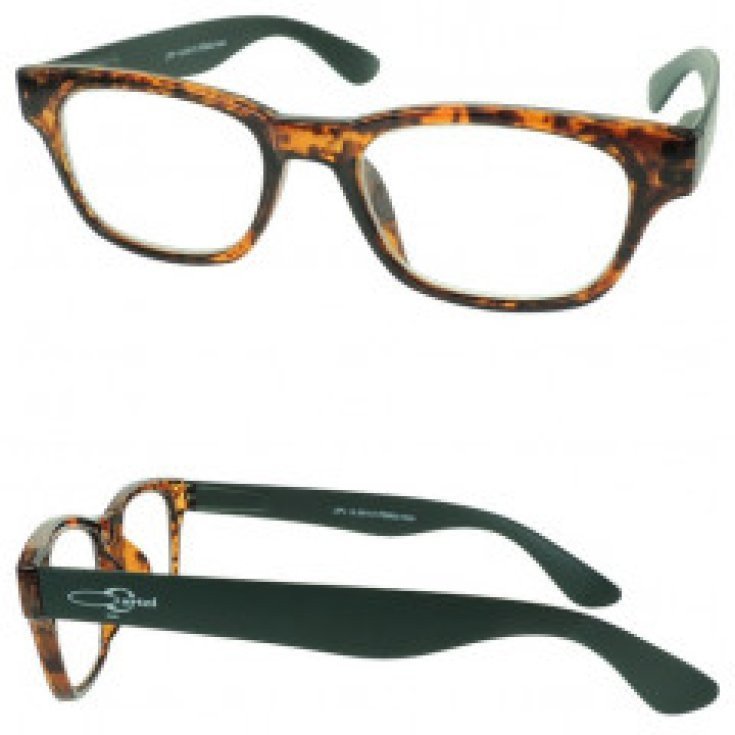 PORTOFINO ASIA SUNGLASSES +1 PORTOFINO ASIA SUNGLASSES +1