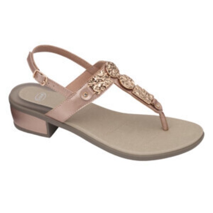 Scholl Ischia Flip Flop Oro Rosa 38