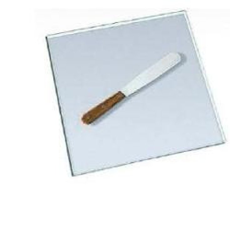 STAINLESS STEEL SPATULA 2PAL STR6X30 L210
