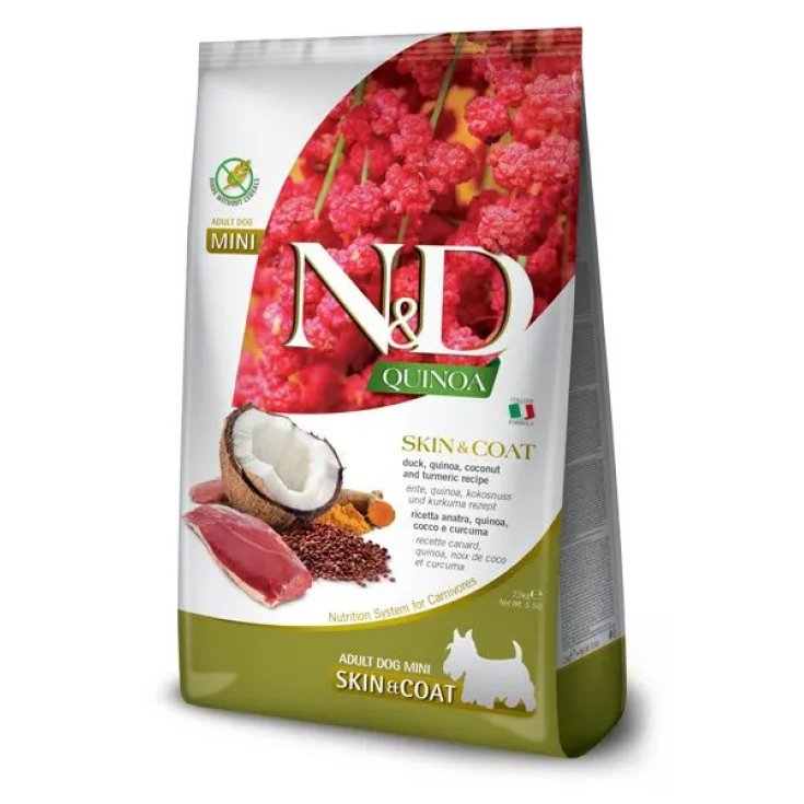 N&D HERE DOG S&C A/CO/C AD M2.5