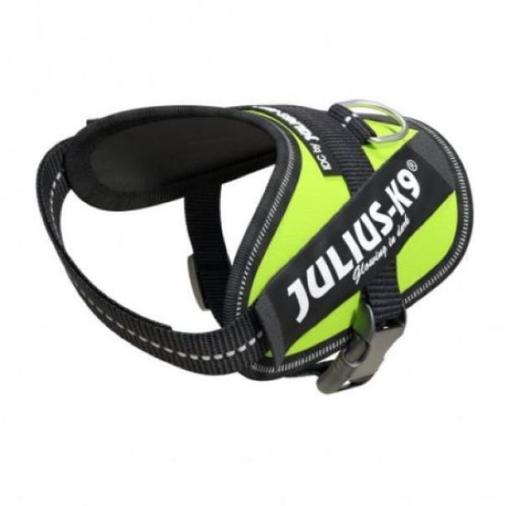 JULIUSK9 IDC PETT B XSS3345 GF