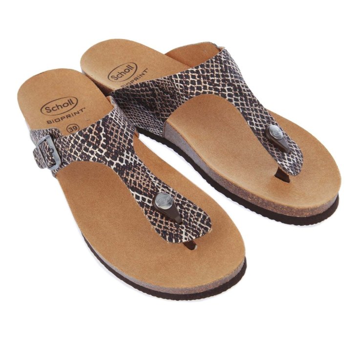 Scholl Shoes Gandia Anim Pr Mic W Wh/M 38