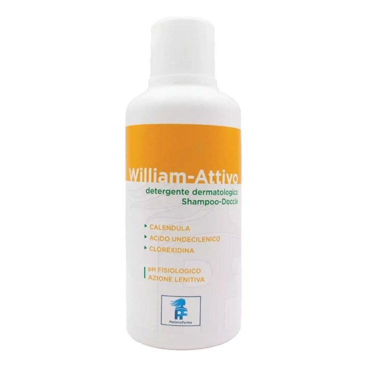 WILLIAM ACTIVE 500ML