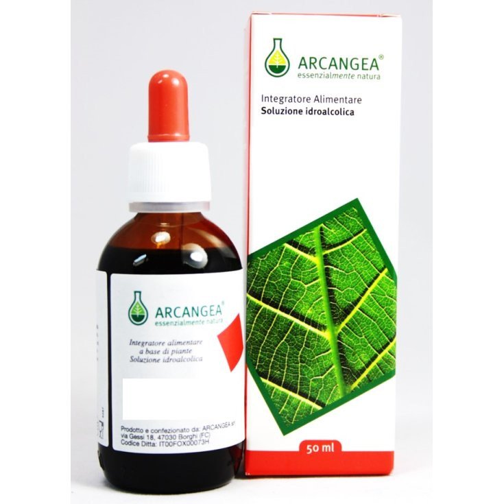 Vite Rossa Soluzione Idroalcolica Bio Arcangea 100ml