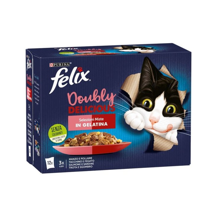 FELIX DD SELEZIONI MISTE12X85G