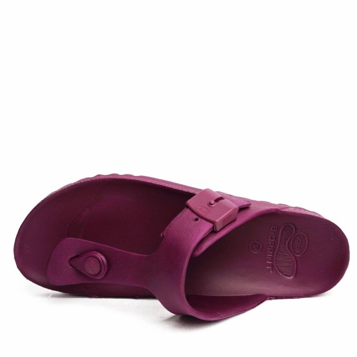 Scholl's Bahia Flip-Flop Eva Donna Wine 35