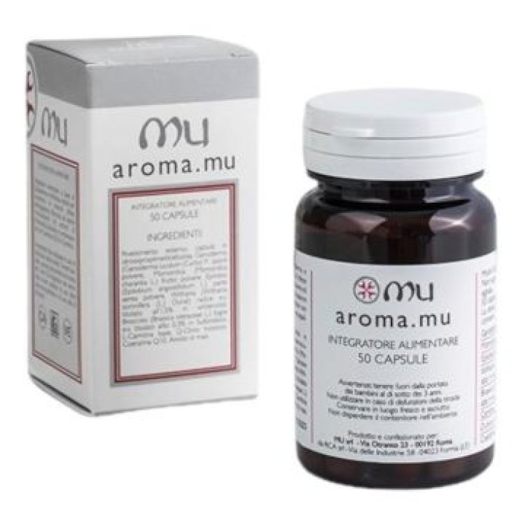 SCENT AROMA DIFFUSER GRI/ANTR
