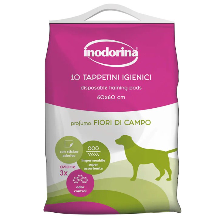 INODORINA TRAINING FIORI 60X60