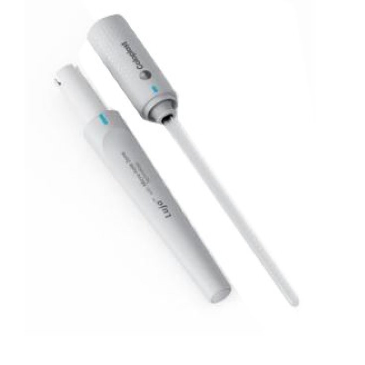 Coloplast Catetere Donna Luja CH14 30pz Coloplast Catetere Donna Luja CH14 30pz