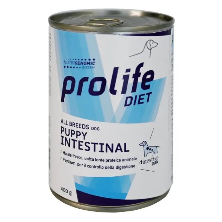 PROLIFE DOG DIET WET PUP INTES