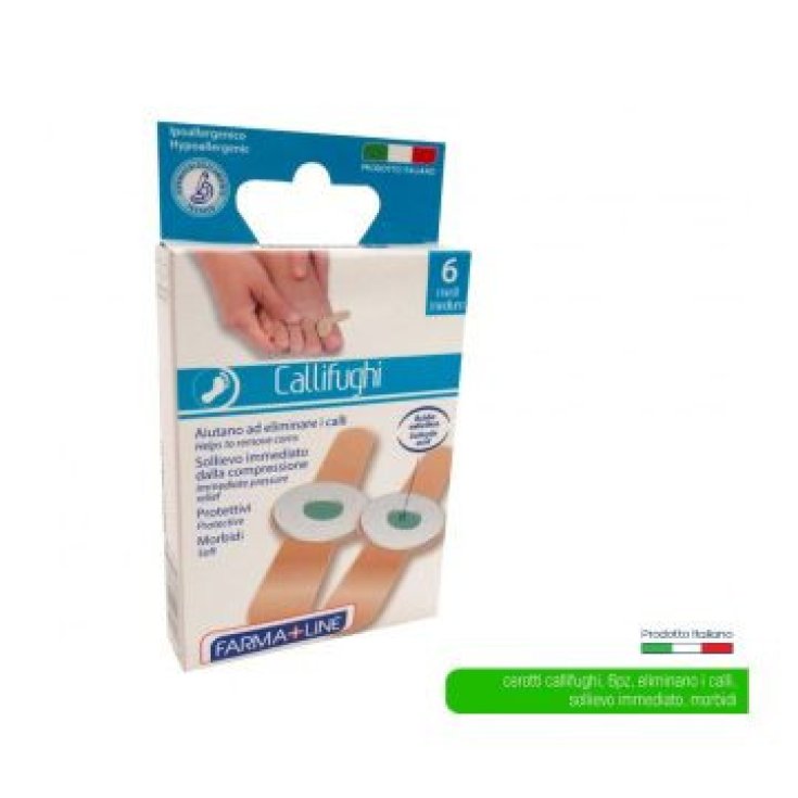 THOTALE CEROTTO CALLIFUGO 6PZ