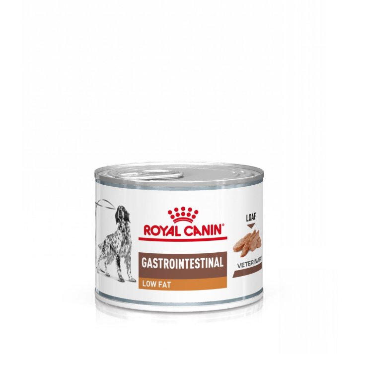 VHN W DOG GASTRO LOW FAT 200G
