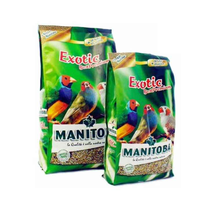 EXOTIC 500G