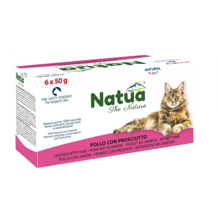NATUA CAT CKN MULTI 8X6X50 G