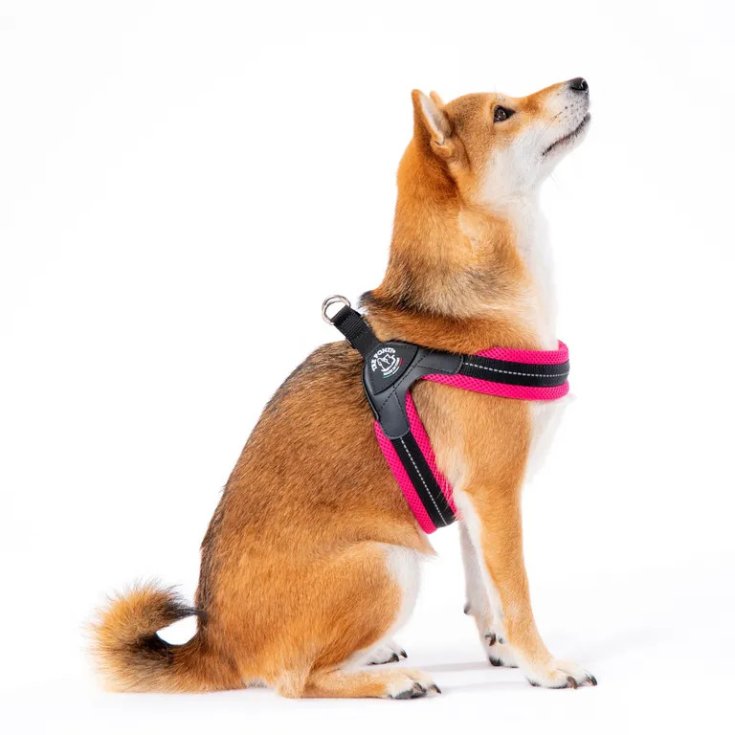 TP EF SILVER CLK ARA FLUO 1