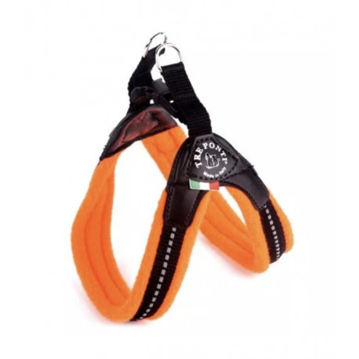 TP EF RE CLK ARA FLUO 3,5