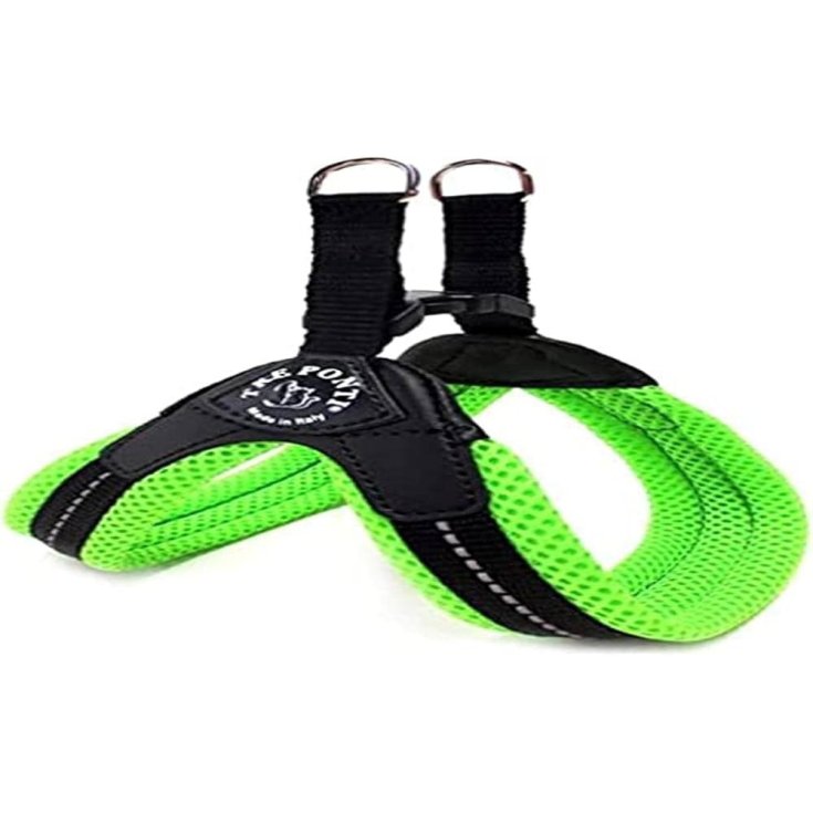 TP EF RE CLK VE CA 4