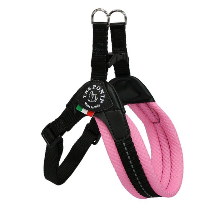 TP EF RE S/P REG RA PAST 4