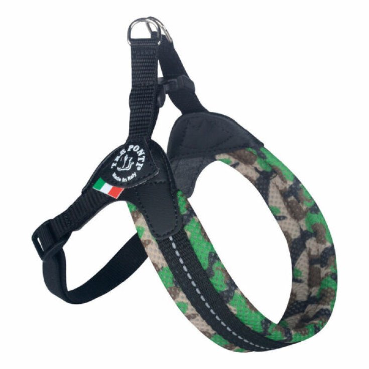 TP EF RE S/P REG VE CA 3