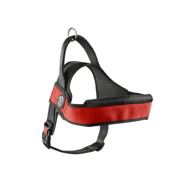 TP PRIMO ONYX DES CA M