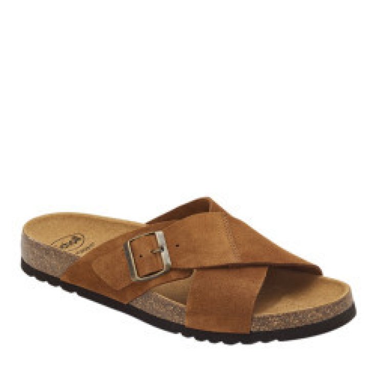 Scholl Tangor Ad Synthetic M Cognac 43