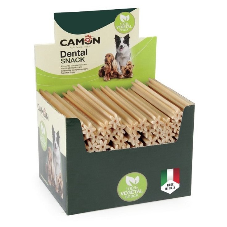 RICE SNACK XL 24CM BOX 40P