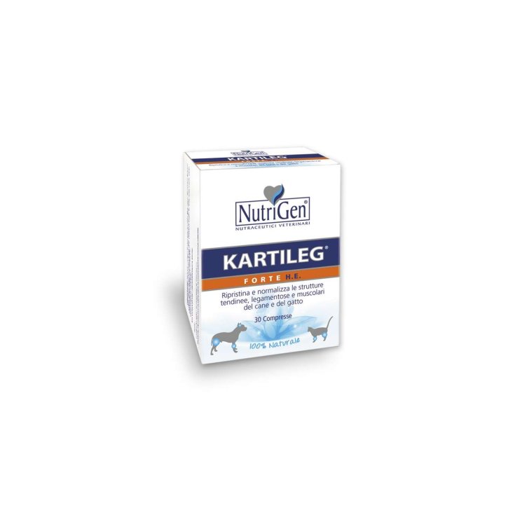 Nutrigen Kartileg Forte He Food Supplement 60 Tablets
