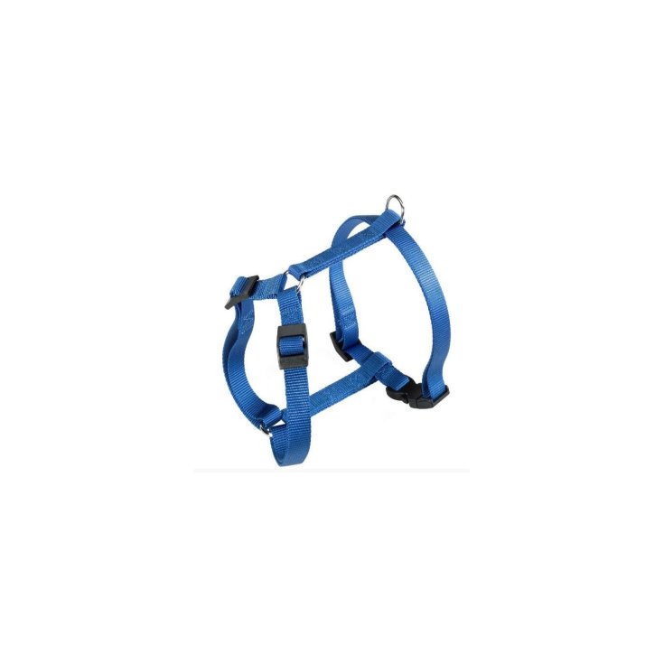 CHAMPION P MEDIUM BLUE BREAST. CHAMPION P MEDIUM BLUE BREAST.