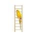 PA 4006 LADDER WITH 11 STEPS