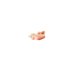 LIFE CAT RECIPES 150GR KITTEN