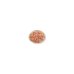 LIFE CAT RECIPES 150GR TUNA-SHRIMP