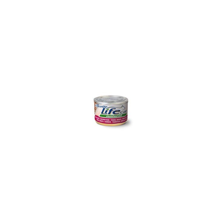 LIFE CAT RECIPES 150GR TON-MAN-PROS