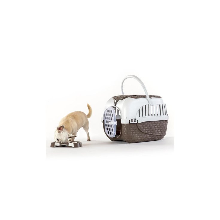 TAUPE MAXI TOUR CARRIER