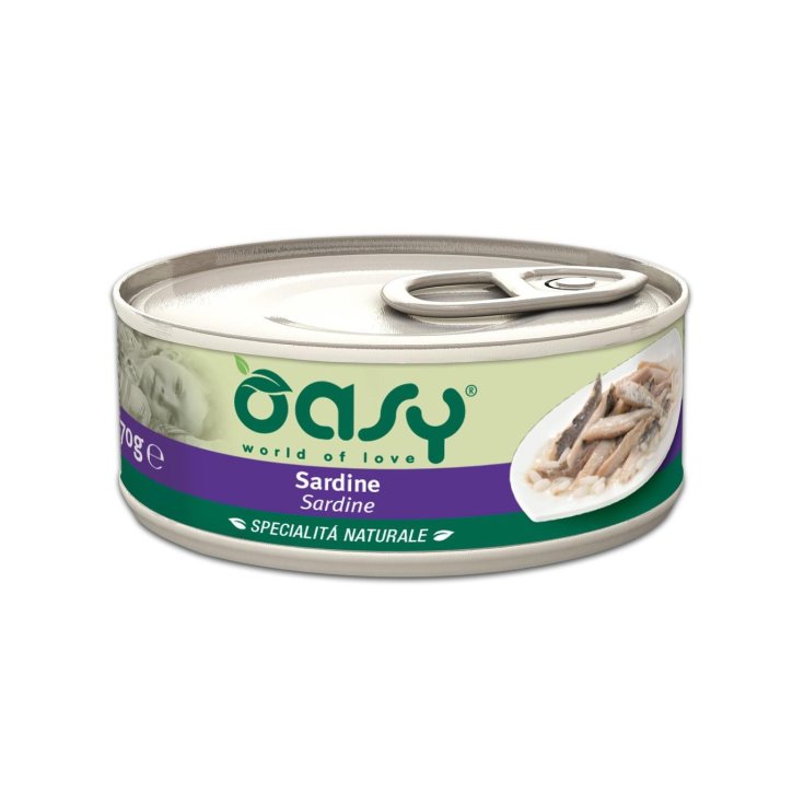 OASY WET CAT SARDINE 70G MILK